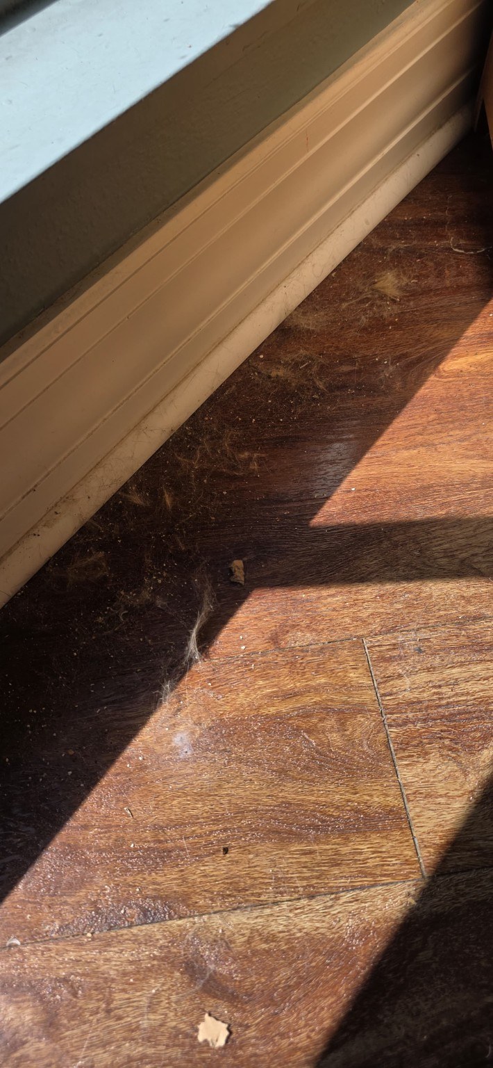 J&C House Cleaning project photo